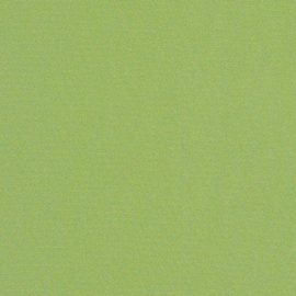 Sunbrella, Canvas Ginkgo